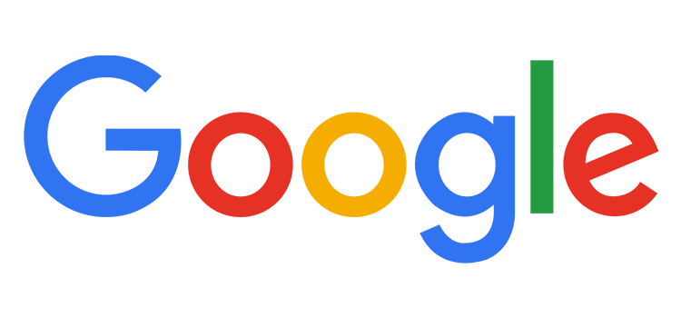 Google Logo Platinum Partner
